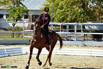 Французские всадники в донском хуторе