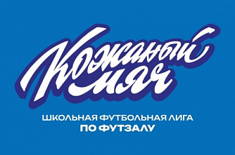 Ростовские школьники завоевали награду финала турнира «Кожаный мяч»