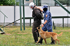 21 06 2025 Определились лучшие кинологи Росгвардии юга России