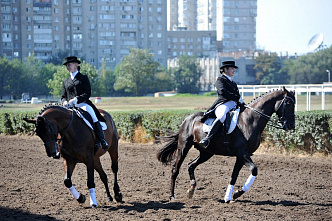 Скачки на Кубок губернатора