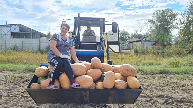 В Тацинском районе отметили «День урожая»