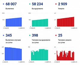 Коронавирус в Ростовской области: статистика на 12 февраля
