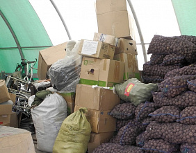 Дети хотят есть каждый день