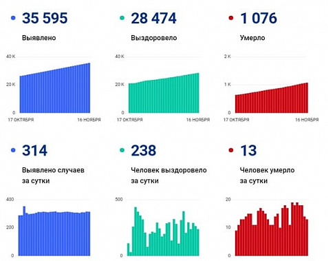 Коронавирус в Ростовской области: статистика на 16 ноября