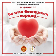 Для донских медиков покажут цирковое выступление