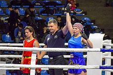 На Дону прошёл форум тайского бокса