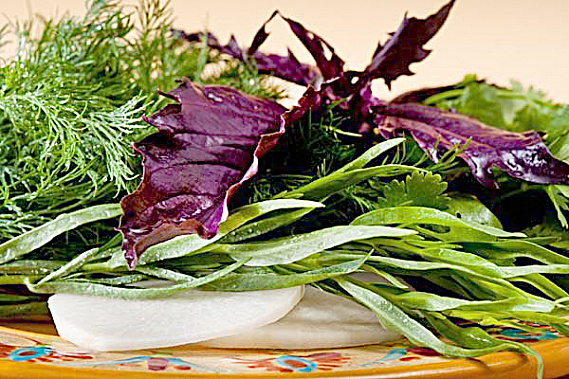 Аппетитная зелень