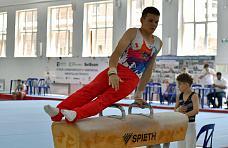 15 06 2025 В Ростове проходит турнир «Кубок олимпийского чемпиона Никиты Нагорного»
