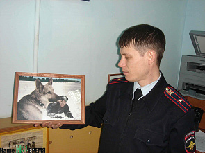 Они «смеются» хвостами