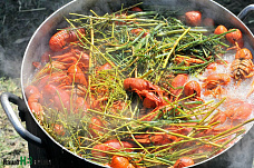 В Ростовской области прошел гастрономический фестиваль «Донская уха»