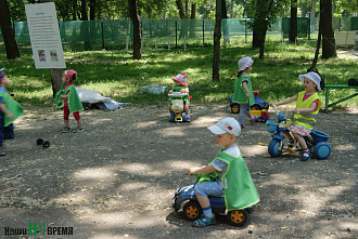 Страусы в Ростове