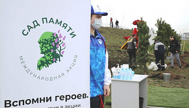 На Дону начали высаживать Сады Памяти