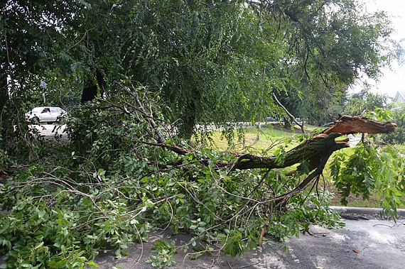 Фото с сайта администрации Семикаракорского городского поселения