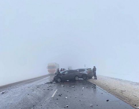 Фото УГИБДД по Ростовской области