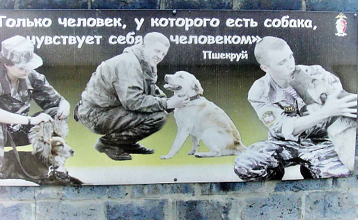 Кузьмич и его 40 облаянных дронов