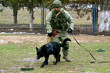 21 01 2025 «Без нас – никто!»