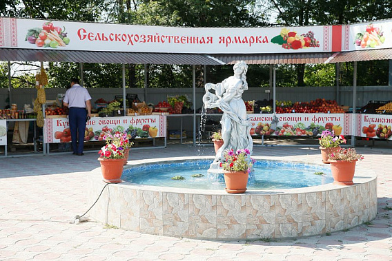 В Ростовской области заработали постоянно действующие ярмарки