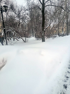 Фото Анны Светоченко