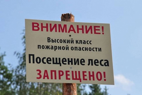 В Ростовской области продлили запрет на въезд в леса