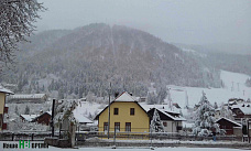 Короны – две, конкурентов – двести сорок...