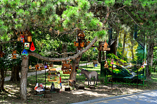 18 07 2025 Ростовский зоопарк продолжает традиции юннатского движения