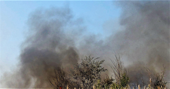 Метеотревога:  выходные  окажутся чрезвычайно пожароопасными
