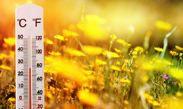 Предстоящая неделя на Дону станет по-летнему теплой