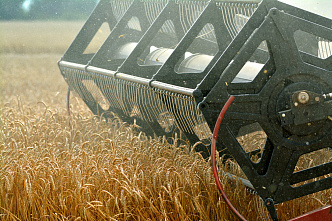 На полях Ростовской области идет уборка зерновых