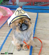 В новый год – со старым другом 