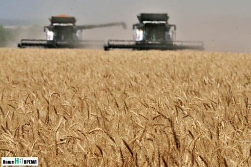 Донские аграрии заявили о катастрофе из-за действий властей