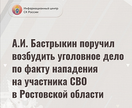 В факте нападения на участника СВО в Ростовской области глава Следкома усмотрел криминал