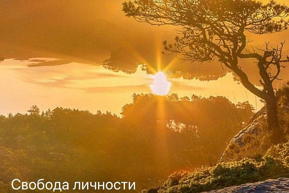 В Ростовской области запустили телеграм-канал для поддержки людей с алкогольной зависимостью