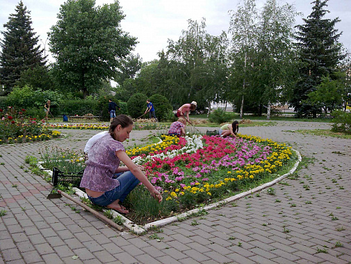 Трудовая практика