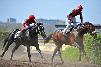 На ипподроме начали принимать ставки