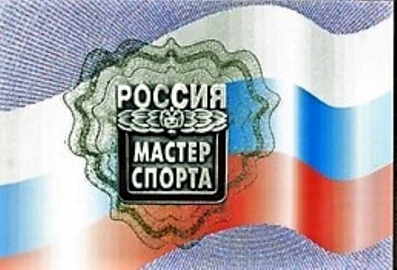 Группе донских спортсменов присвоили звание мастера спорта России