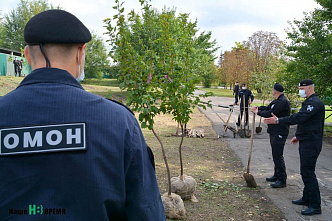 Ростовские ОМОНовцы высадили деревья
