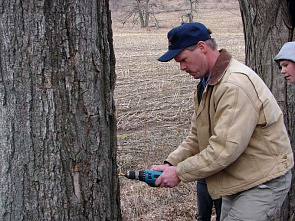 Поделился Америкой_9326