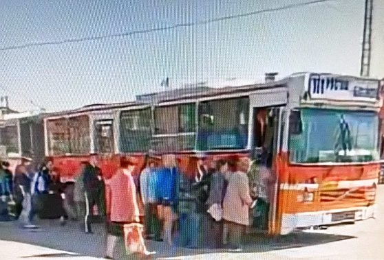 Печально знаменитая батайская «скотовозка». Источник фото: издание  «Батайское время»