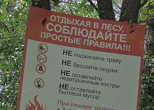 Утверждены Правила пожарной безопасности в лесах