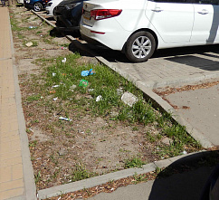 Погуляем, поснимаем – 14