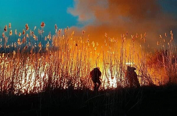 За один только день в конце апреля на территории Ростова произошло пять ландшафтных пожаров