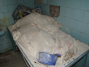 В тихой заводи