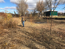 В хуторе Погорелов высадили фруктовые деревья