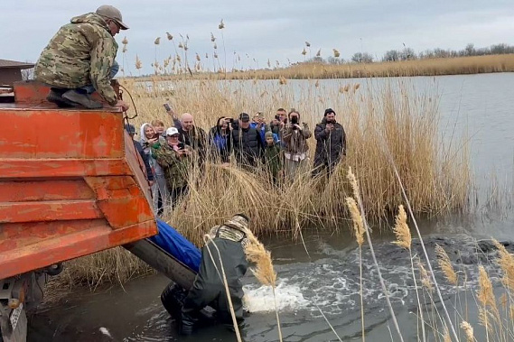 Источник фото: правительство Ростовской области.