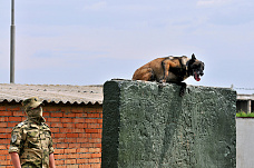 21 06 2025 Определились лучшие кинологи Росгвардии юга России
