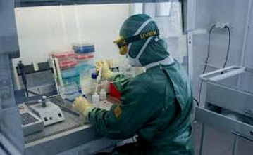 На Дону еще 391 случай коронавирусной инфекции
