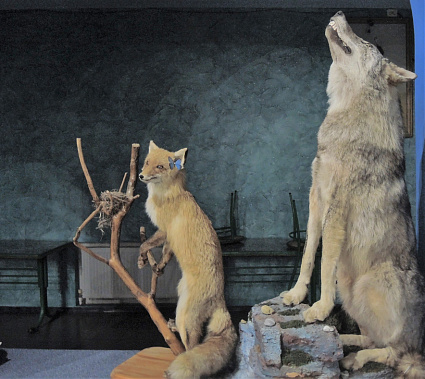 В донских охотничьих угодьях собираются пересчитать диких животных