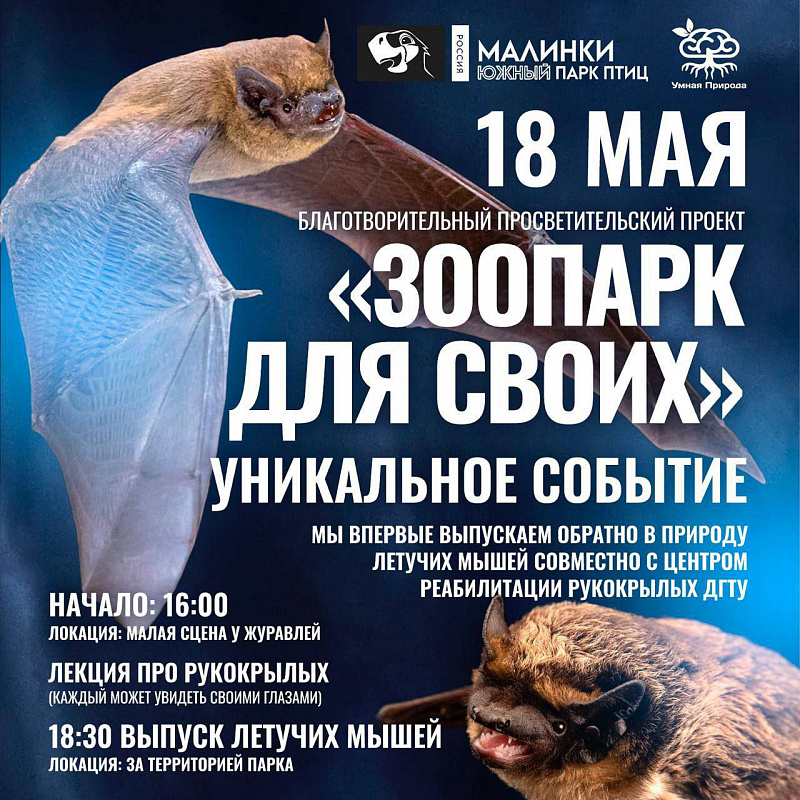 Фото взято из тг-канала парка
