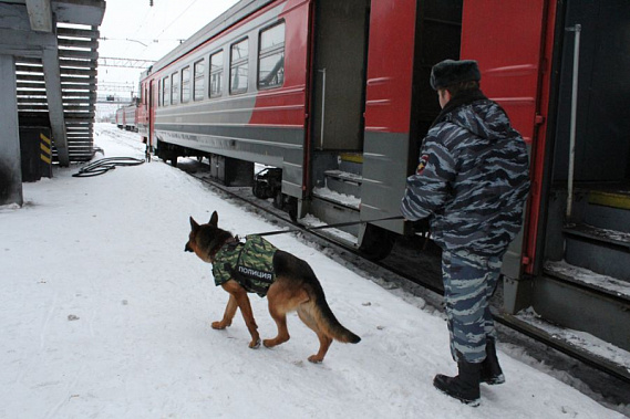 Транспортную полицию вооружат электрошокерами