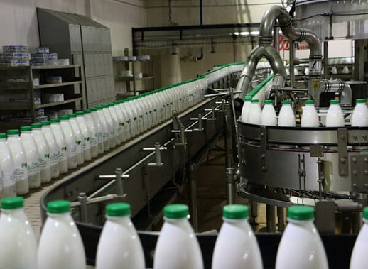 Учредителя и гендиректора ОАО «Кагальницкий молокозавод» осудили за разорение предприятия